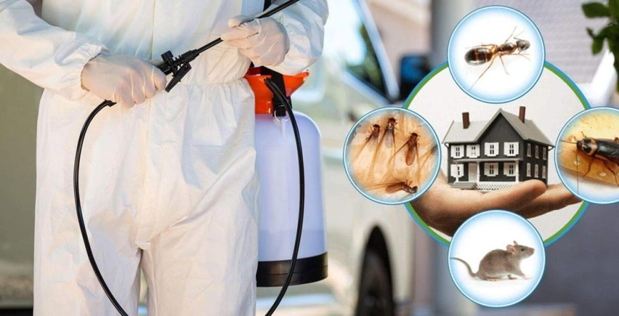 Kayapınar Böcek İlaçlama