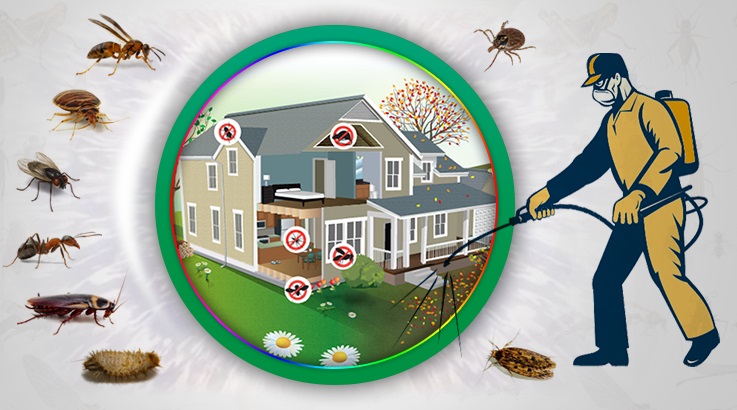 Kayapınar Böcek İlaçlama