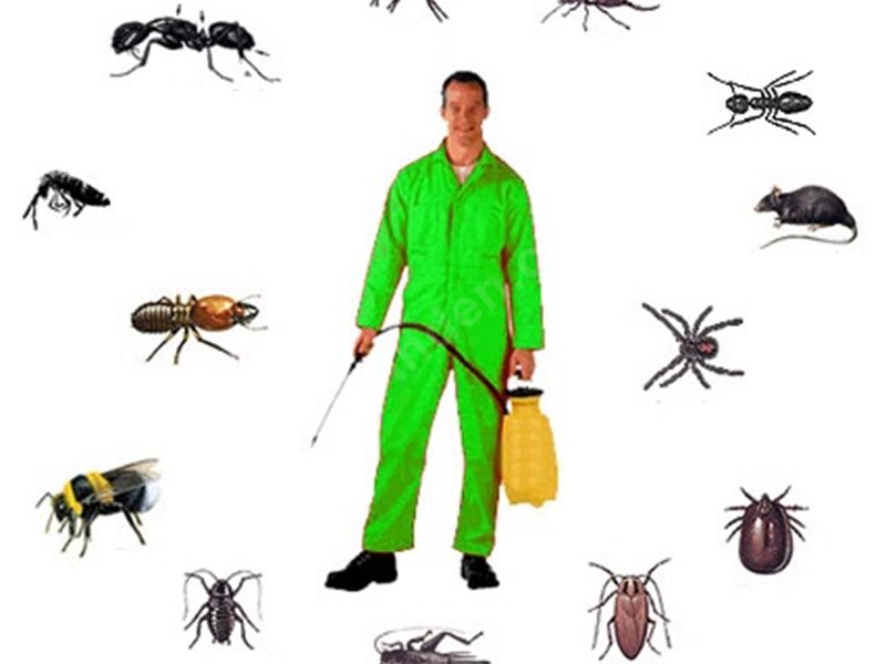 Kayapınar Böcek İlaçlama